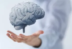 این سه عامل، از مغز شما مراقبت می‌کند