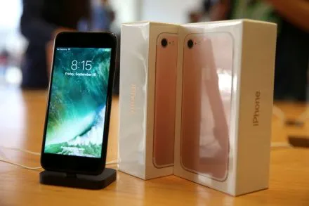 Apple's Search for Better iPhone Screens Leads to Japan's Rice Fields