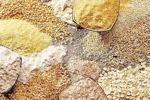 محدودیت واردات از طریق بنادر جنوبی کشور / اولین محموله نهاده دامی نیز از بنادر شمالی وارد کشور شده است