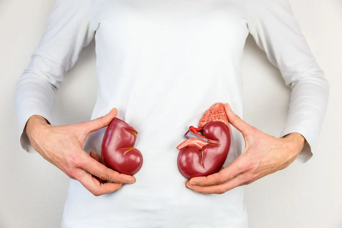 قیمت فروش کلیه یک میلیارد تومان شد!