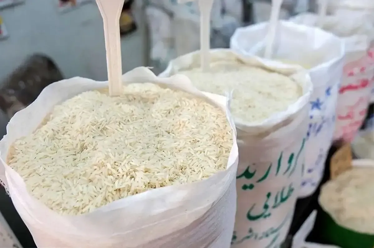 قیمت برنج افسار پاره کرد؛ بازار در شوک گرانی ناگهانی