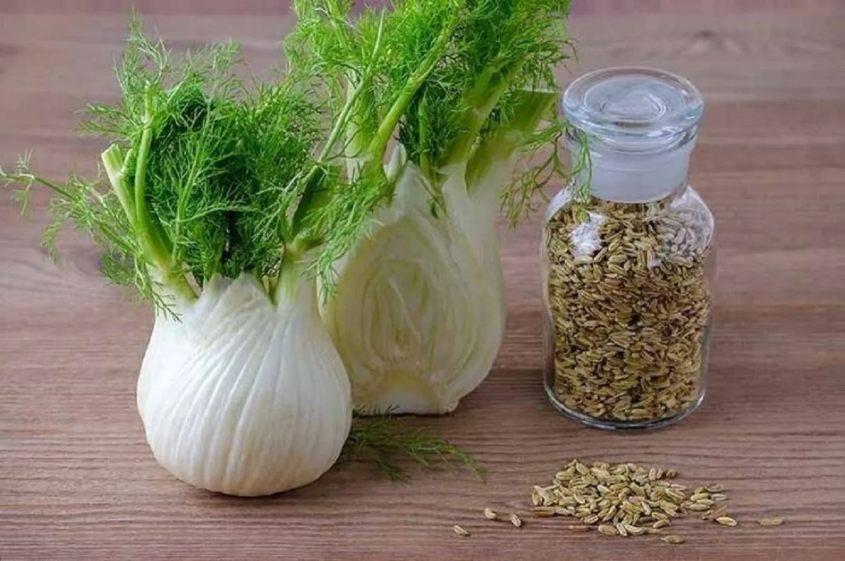 این خوراکی‌ها دشمن چربی و قند خون بالا هستند