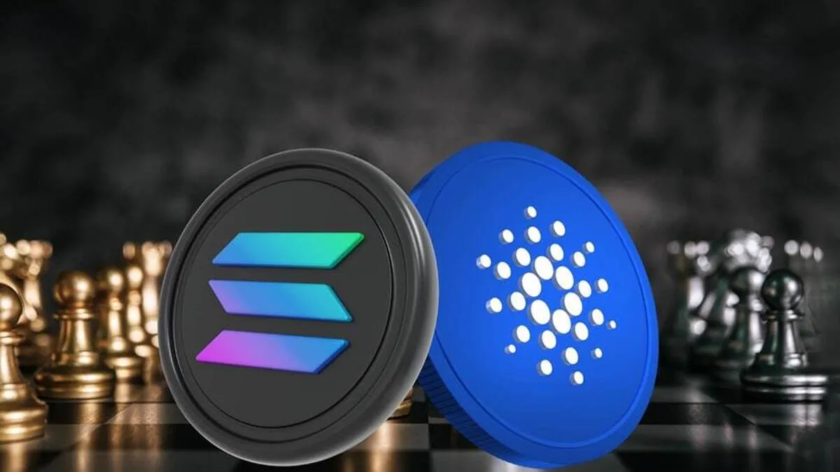 سولانا یا کاردانو؛ کدام یک را برای خرید انتخاب کنیم؟