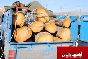 کشف حدود یک و نیم تن چوب قاچاق در «نظرآباد»