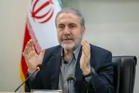 آخرین دستورات دولتی درباره کشت خشخاش / یک طرح مهم تصویب شد
