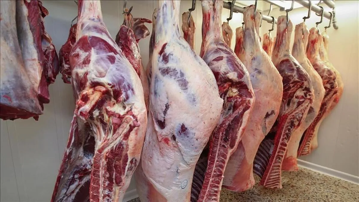عجیب ترین روش فروش گوشت در تاریخ ایران/ به دنبال کاهش قدرت خرید مردم