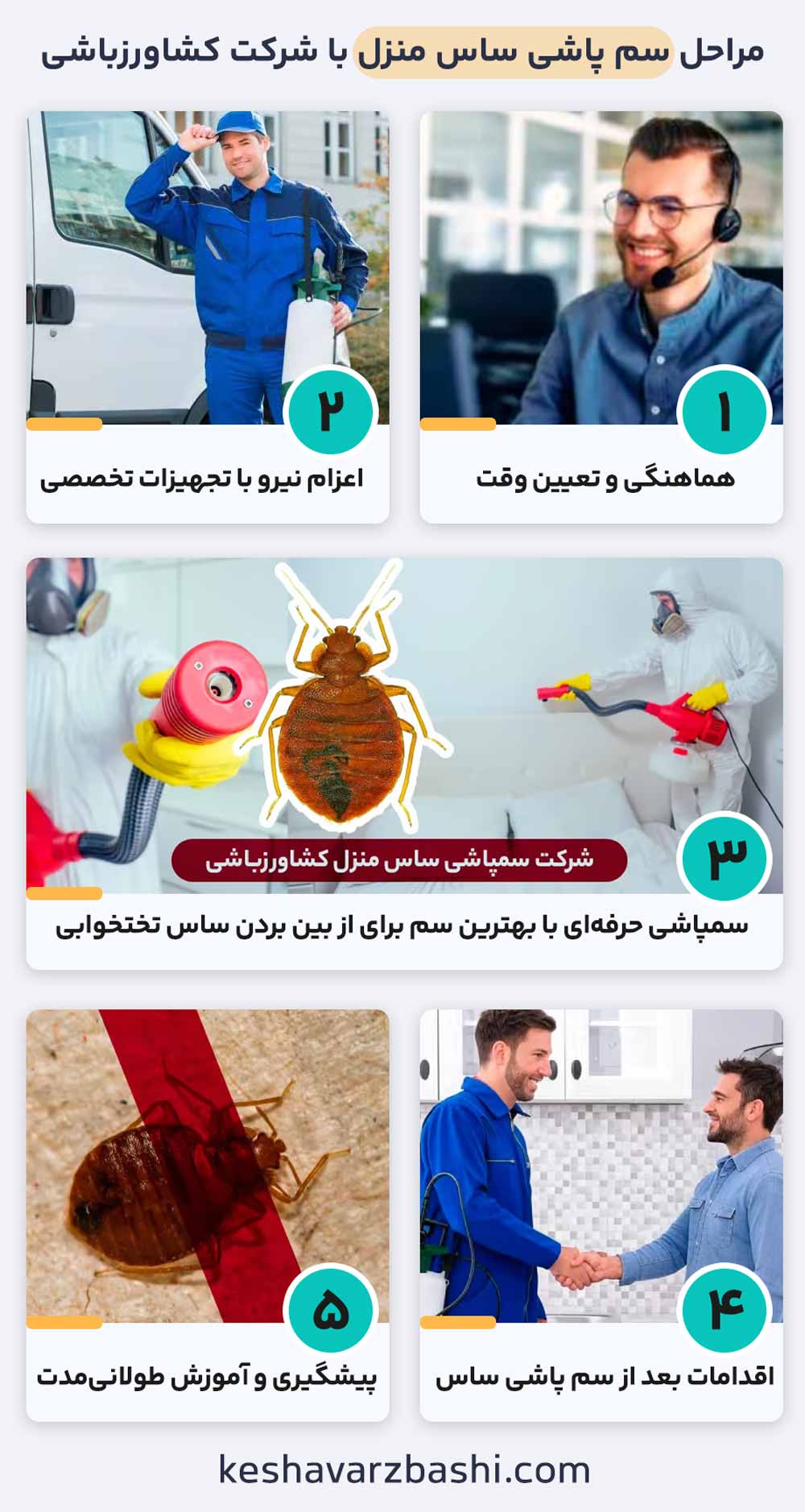 مراحل سمپاشی ساس منزل با شرکت کشاورزباشی
