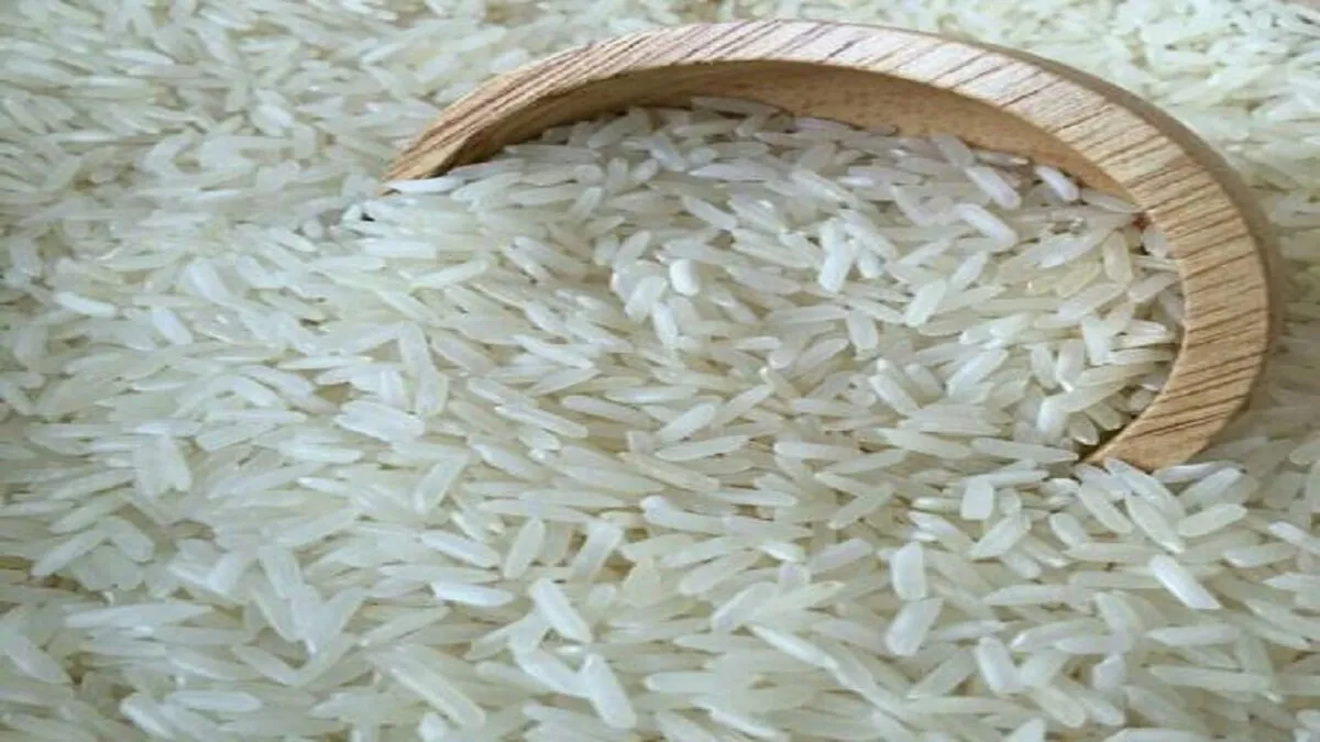 برنج ایرانی ارزان شد