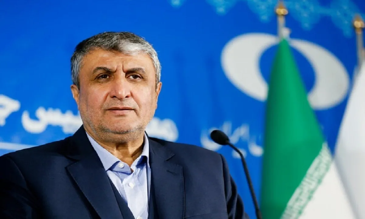 واکنش تند اسلامی به درخواست آژانس برای بازرسی