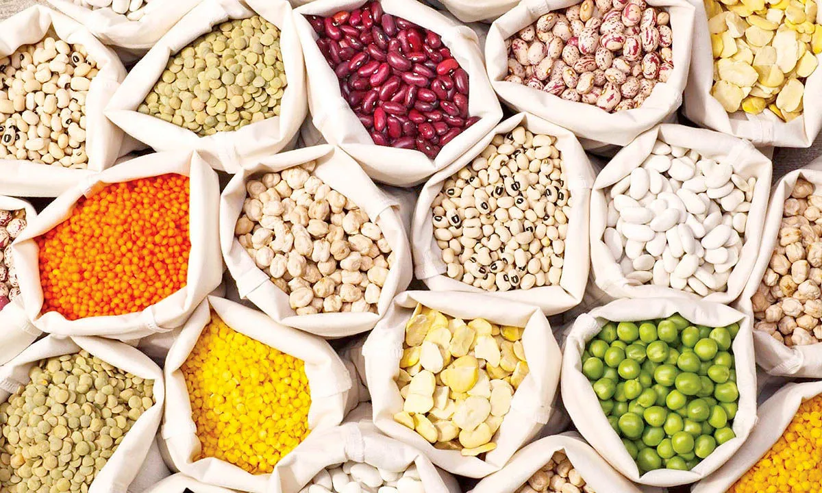 قیمت حبوبات