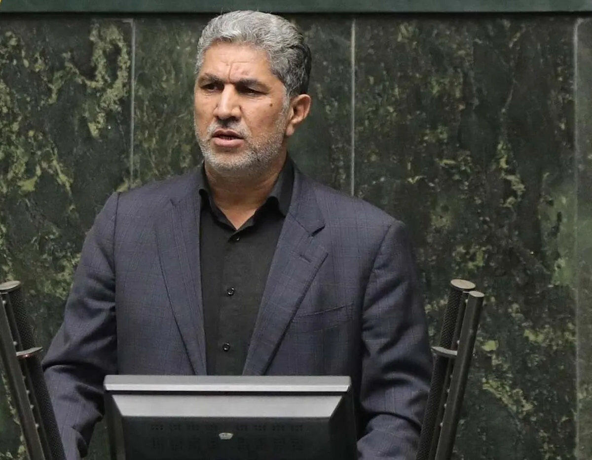 خام فروشی بزرگترین معضل استخراج معادن است