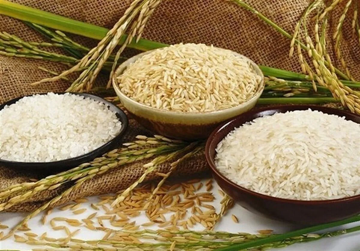 قیمت برنج پاکستانی شهریور ۱۴۰۴ / برنج سوپر باسماتی کیلویی چند؟ + جدول