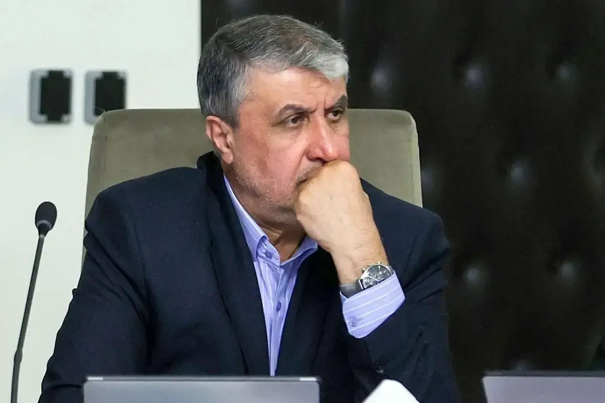 رئیس سازمان انرژی اتمی: دو واحد نیروگاه اتمی بوشهر اکنون در حال احداث هستند