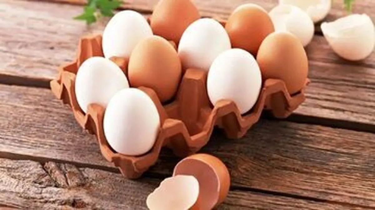 پیشنهاد عجیب برای قیمت تخم‌مرغ / تخم‌مرغ باید گران شود؟
