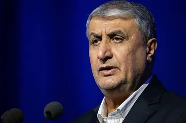 Interaction with IAEA in Conformity with Iran’s Parliamentary Law: Nuclear Chief