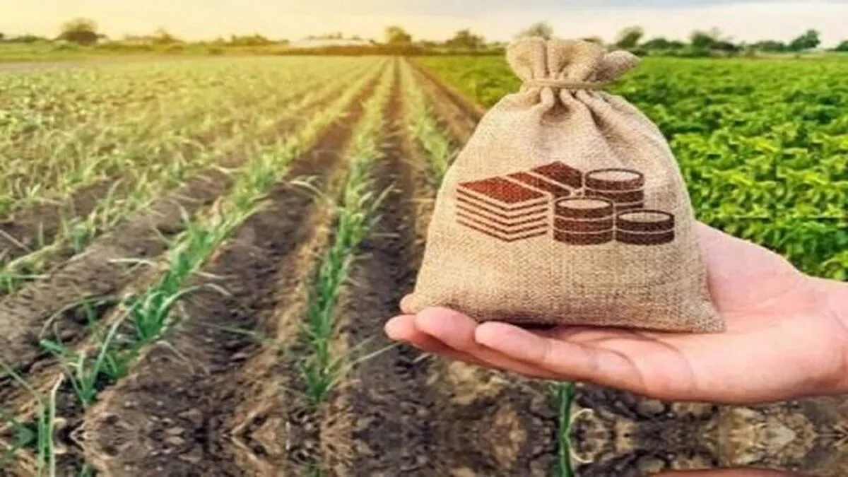 حق بیمه سهم کشاورز در قانون بودجه ۱۴۰۵ درج شد