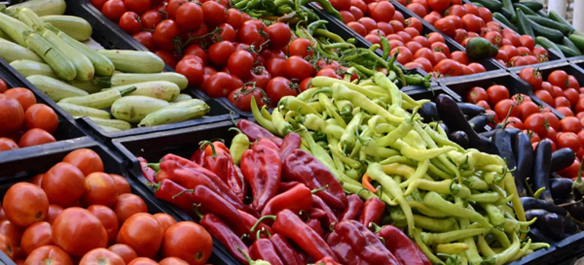 Iran's trade balance improves in food, agricultural products