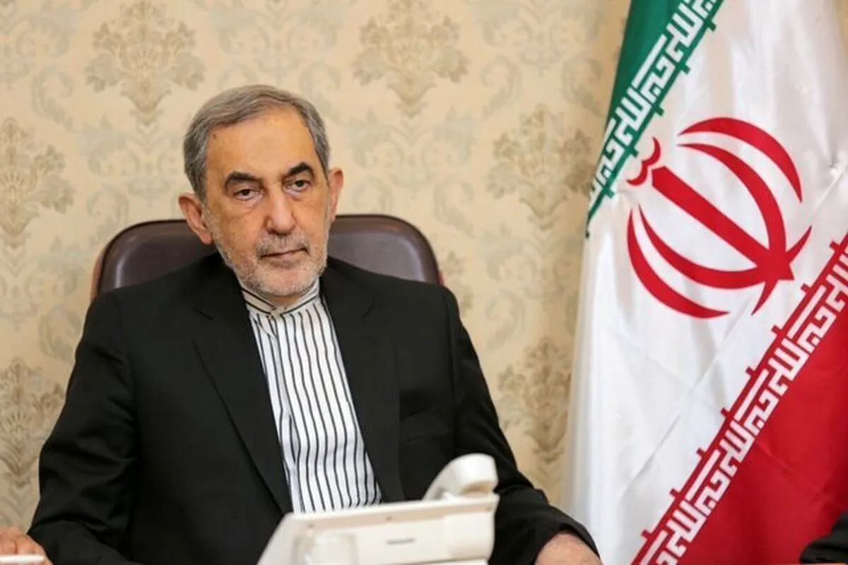 Iran's powerful diplomacy focuses on securing regional stability: Velayati