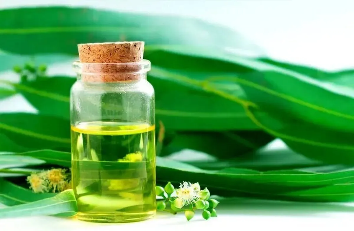 معجزه این روغن‌های گیاهی برای درمان آلرژی بهار را تجربه کنید