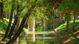 آخرین وضعیت حقابه زاینده‌رود / تأکید بر همکاری برای مدیریت آب