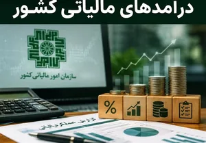 ۳۴ درصد درآمد مالیاتی از محل کالا وخدمات تأمین شد