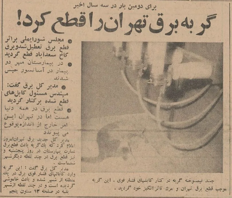 یک گربه برق تهران را قطع کرد / عکس قبض برق ۶۰ سال پیش! + عکس