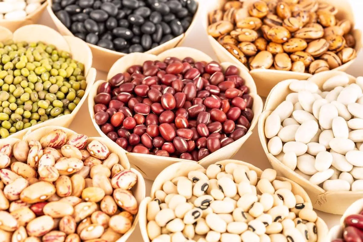کمبود روغن ادامه دارد/ قیمت حبوبات کی کم می‌شود؟