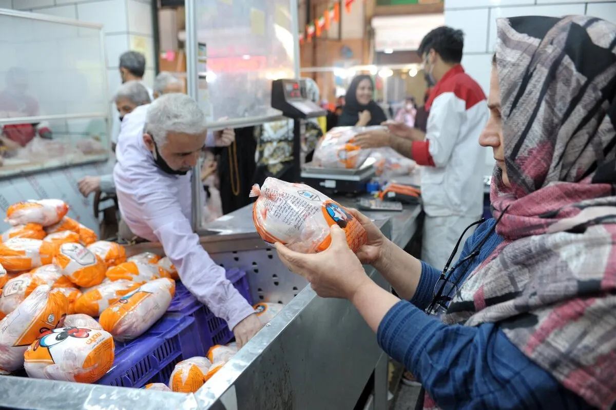 سقوط قیمت مرغ آغاز شد