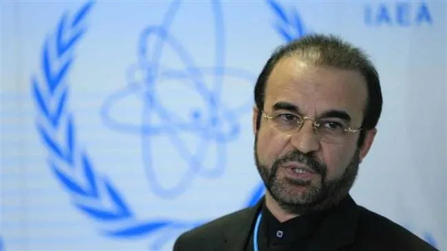 Iran seeks IAEA members' contribution to nuclear power generation