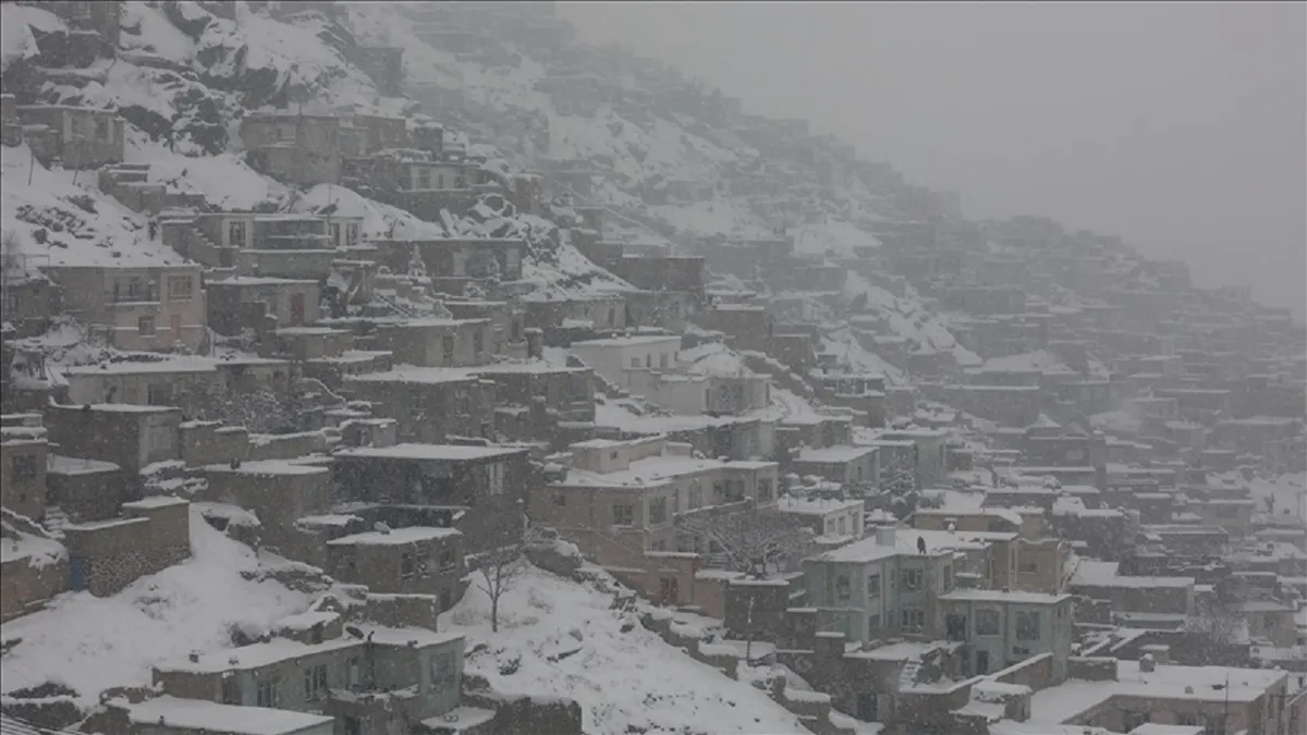 زمستان سخت افغانستان/ ۳۶۰ خانواده آواره شدند