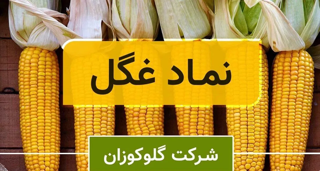 «غگل»؛ عملکرد عالی سالانه و رشد فروش + روند حرکت سهم