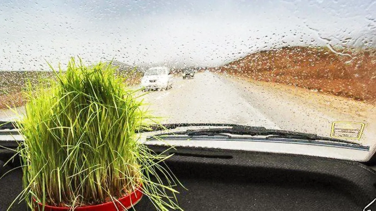 سیزده به در بارانی است