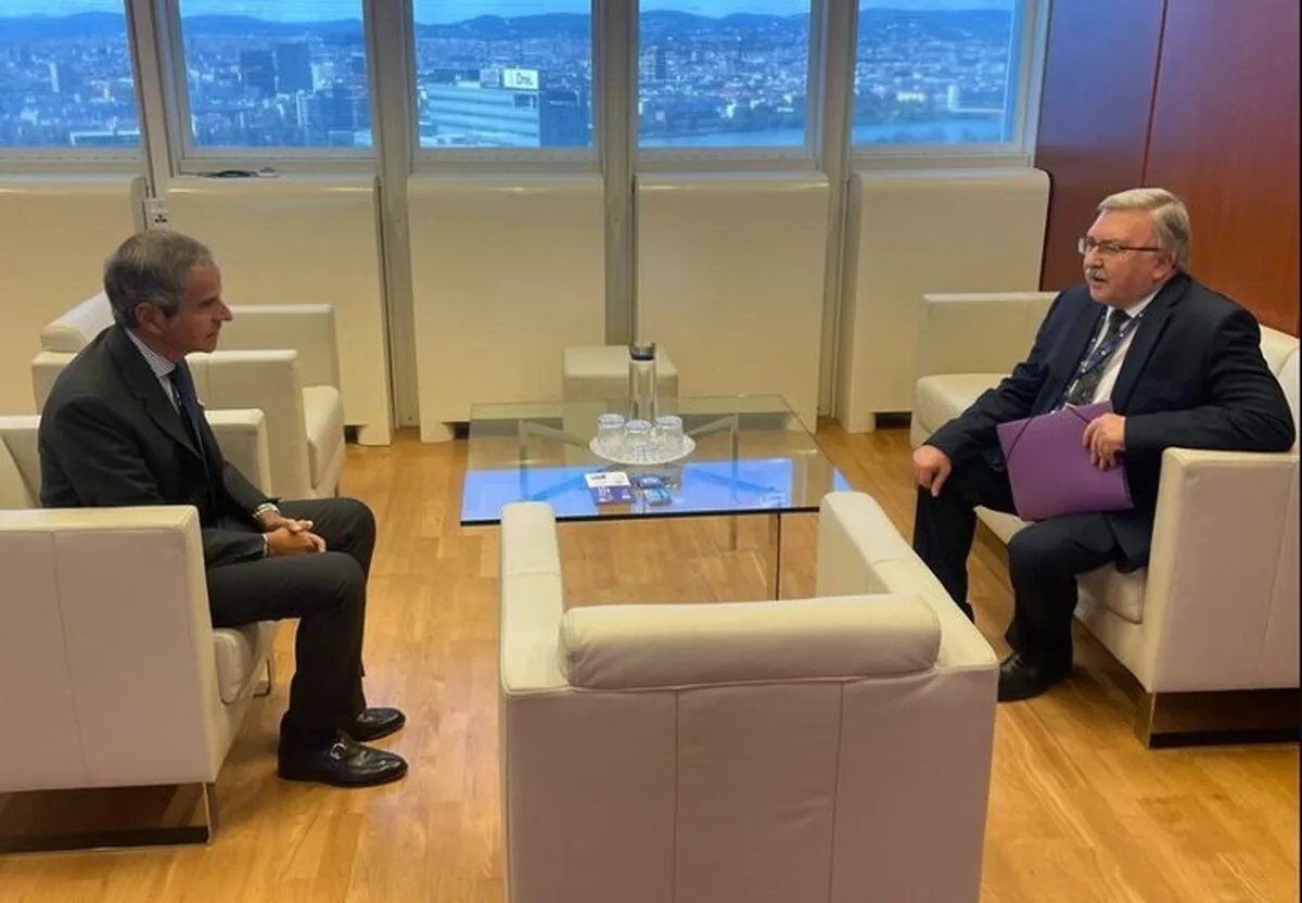 رایزنی اولیانوف با گروسی درباره ایران