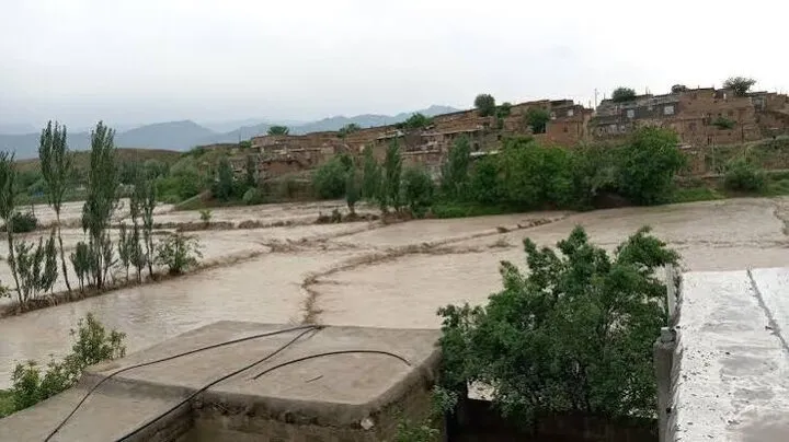 گردشگری