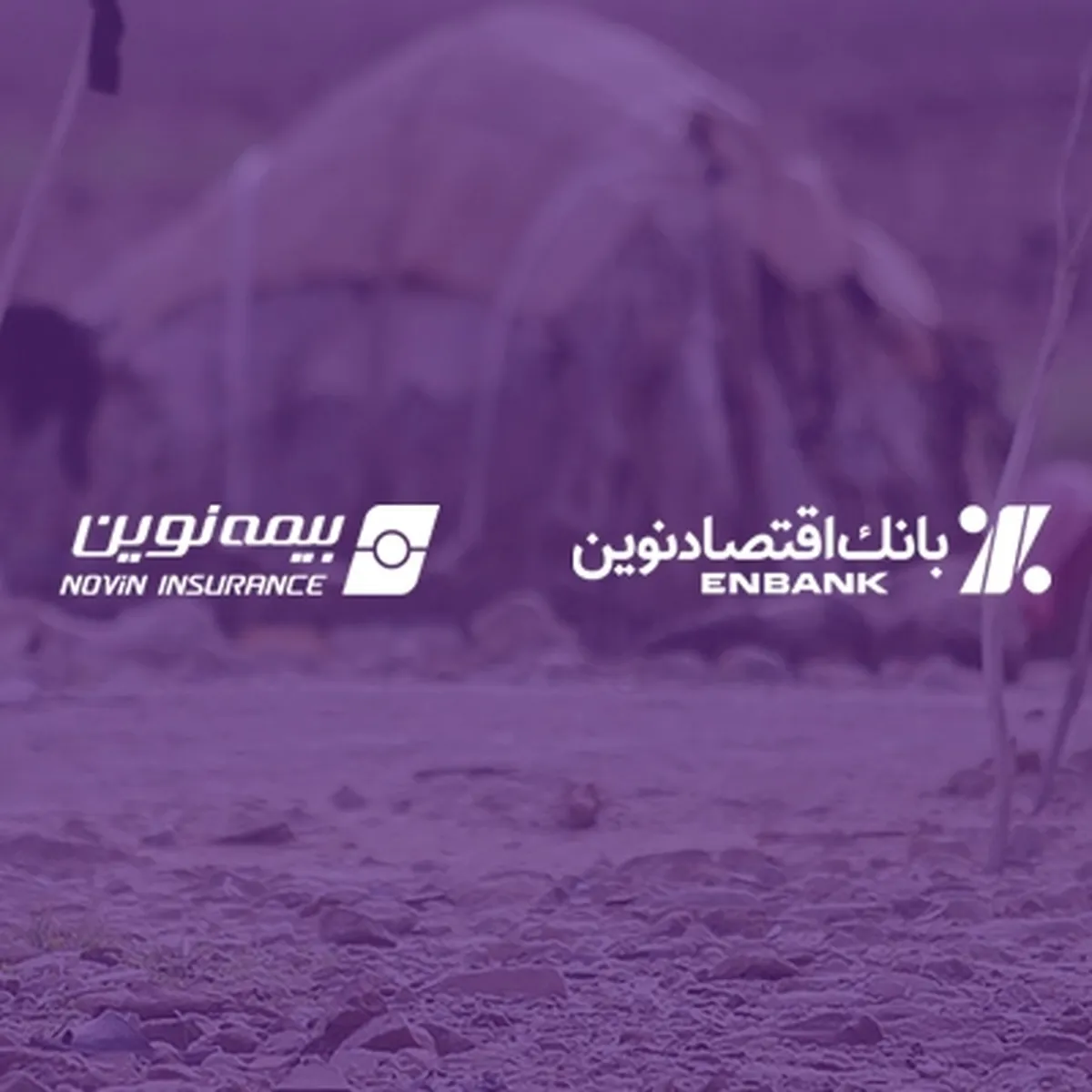 ارسال 900 بسته معیشتی توسط بانک اقتصادنوین و بیمه نوین به مناطق کم‌برخوردار