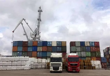 Iran’s Qazvin exports 574 tons of raw livestock products