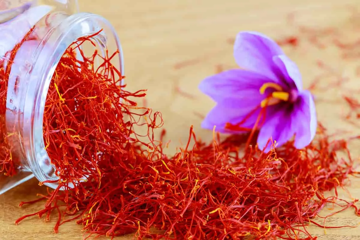 Iran’s Annual Saffron Export Hits 200 Tons: NSC
