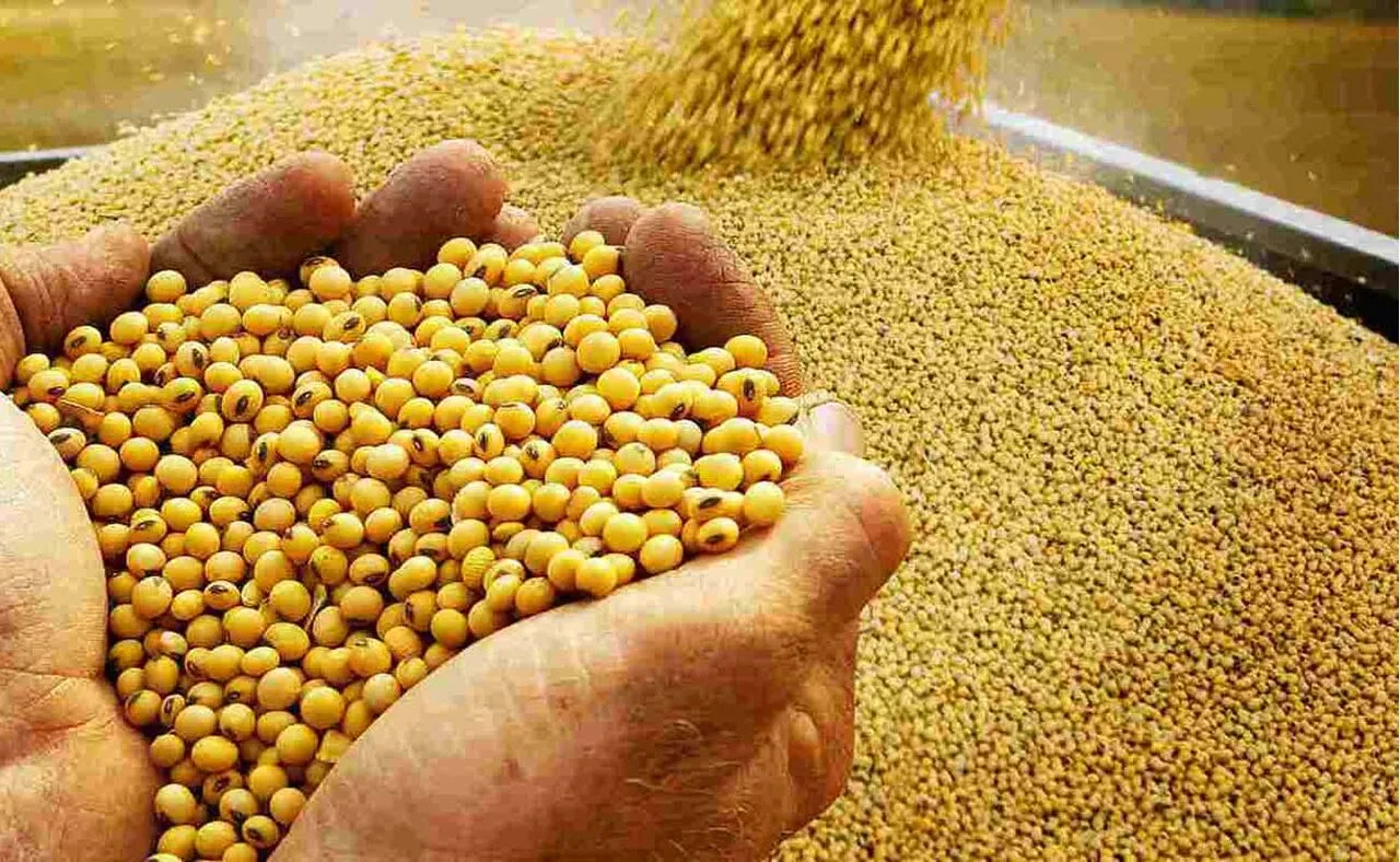 گرانفروشی کنجاله سویا بالاتر از قیمت مصوب