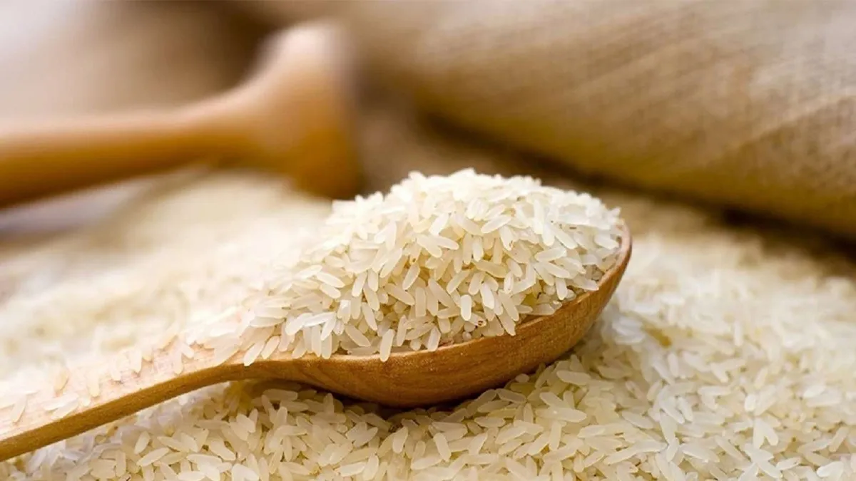 سیل عظیم برنج در راه ایران / سقوط قیمت برنج در راه است