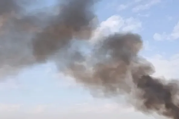 دود
