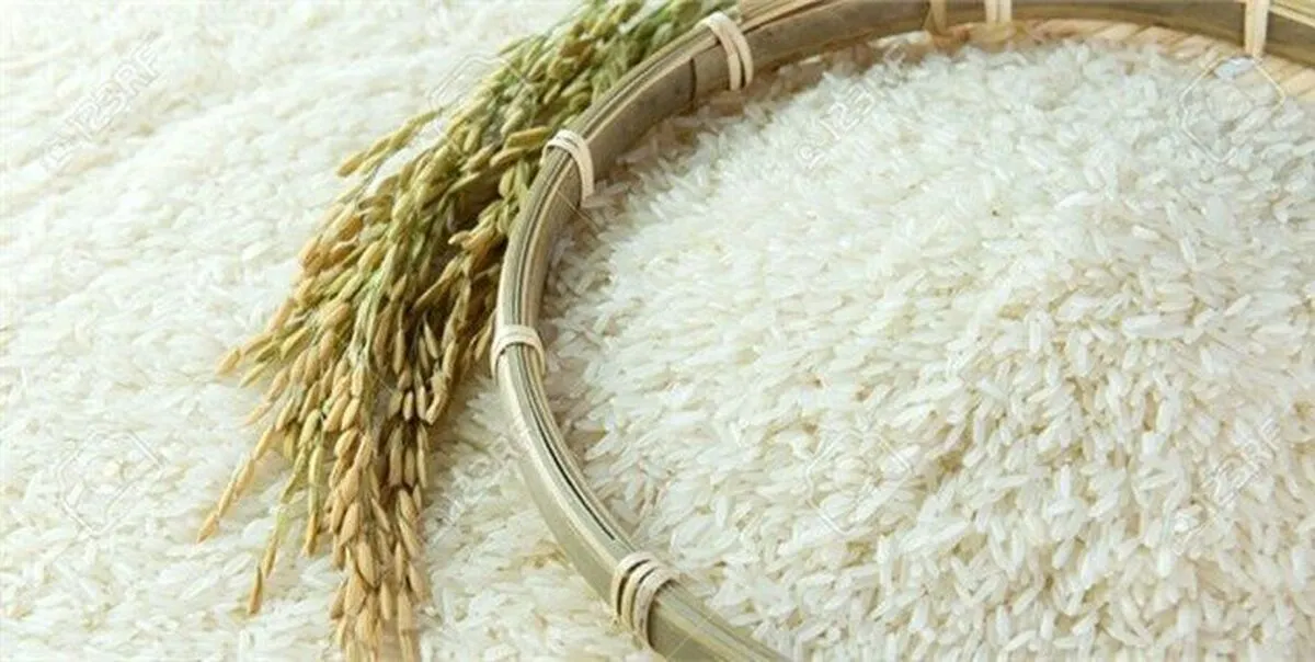 قیمت جدید برنج پاکستانی ۱۹ مهر ماه ۱۴۰۴ / برنج پاکستانی درجه یک کیلویی چند شد؟ + جدول