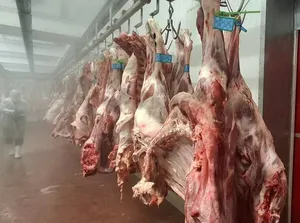 افزایش هزینه بسته‌بندی گوشت چقدر روی قیمت اثر دارد؟ / دبیر انجمن تولید و بسته‌بندی گوشت توضیح داد
