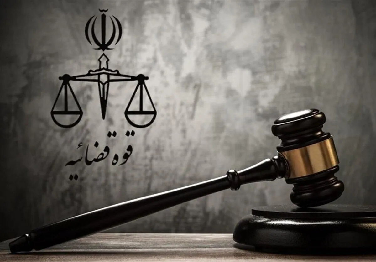 عرفان سلطانی کیست؟