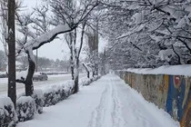خبر-خوش-هواشناسی-منتظر-بارش-برف-در-این-روز-باشید