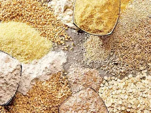 هشدار اتحادیه واردکنندگان نهاده‌های دامی: زنجیره تامین کشور در معرض بحران/ توقف ترخیص نهاده‌ها