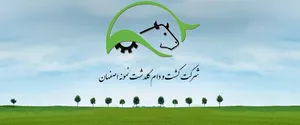 «زگلدشت» شرکتی کوچک اما با ثبات و سودآور + شمارش امواج