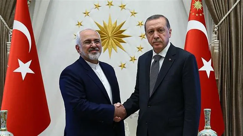 Zarif, Erdogan Discuss Syria Ahead of Astana Talks