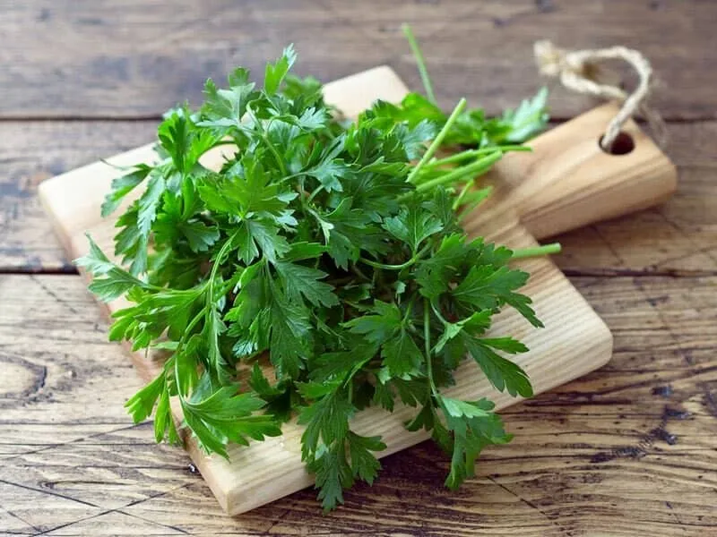 خواص دارویی این گیاه برای قلب!