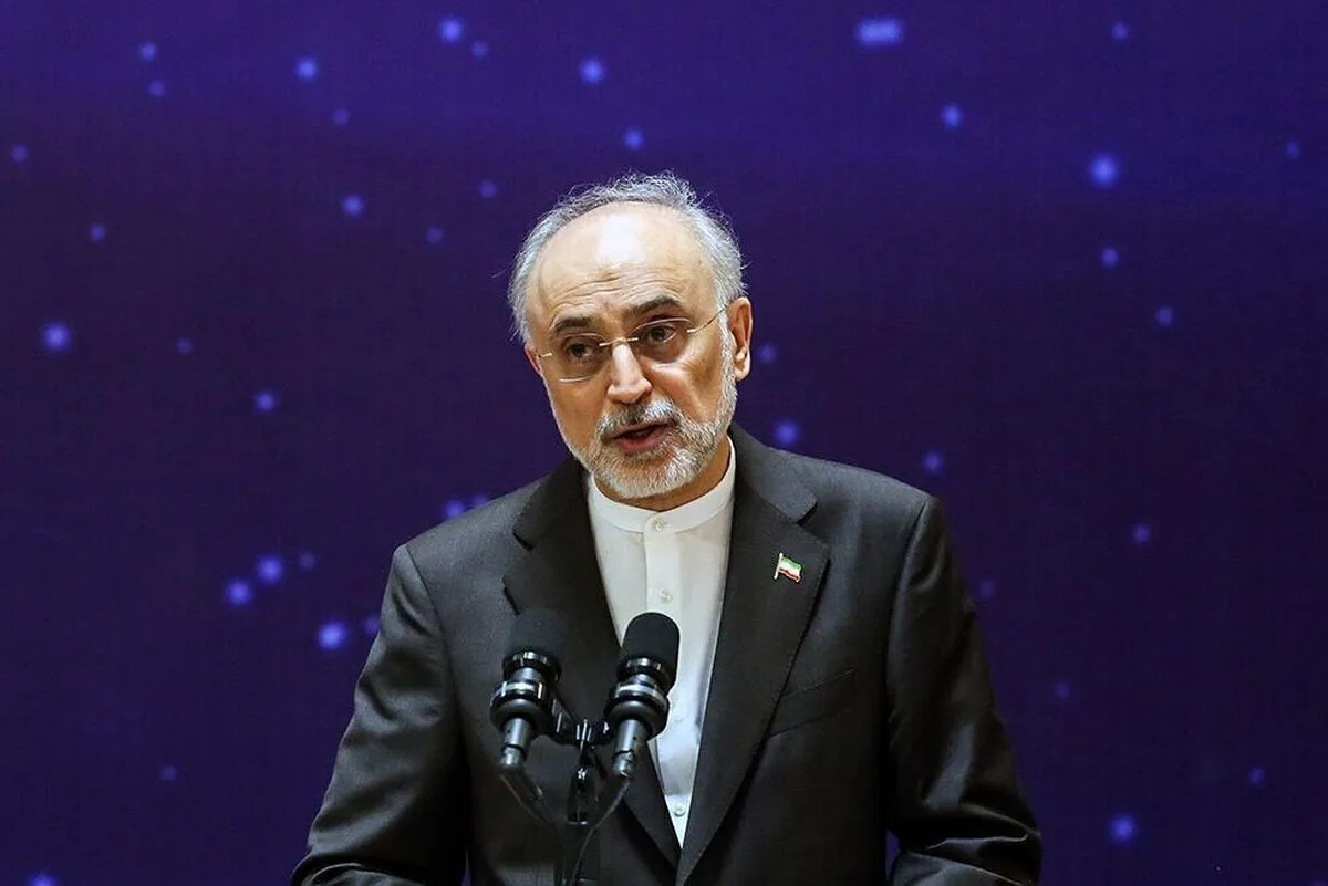 آمادگی کشور‌های همسایه برای پذیرش پناهندگان ایرانی و آماده کردن اردوگاه‌ها/ علی‌اکبر صالحی یادآوری کرد