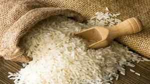 خبر خوش برای بازار برنج / افزایش تولید برنج در راه است